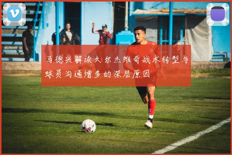 马德兴解读久尔杰维奇战术转型与球员沟通增多的深层原因